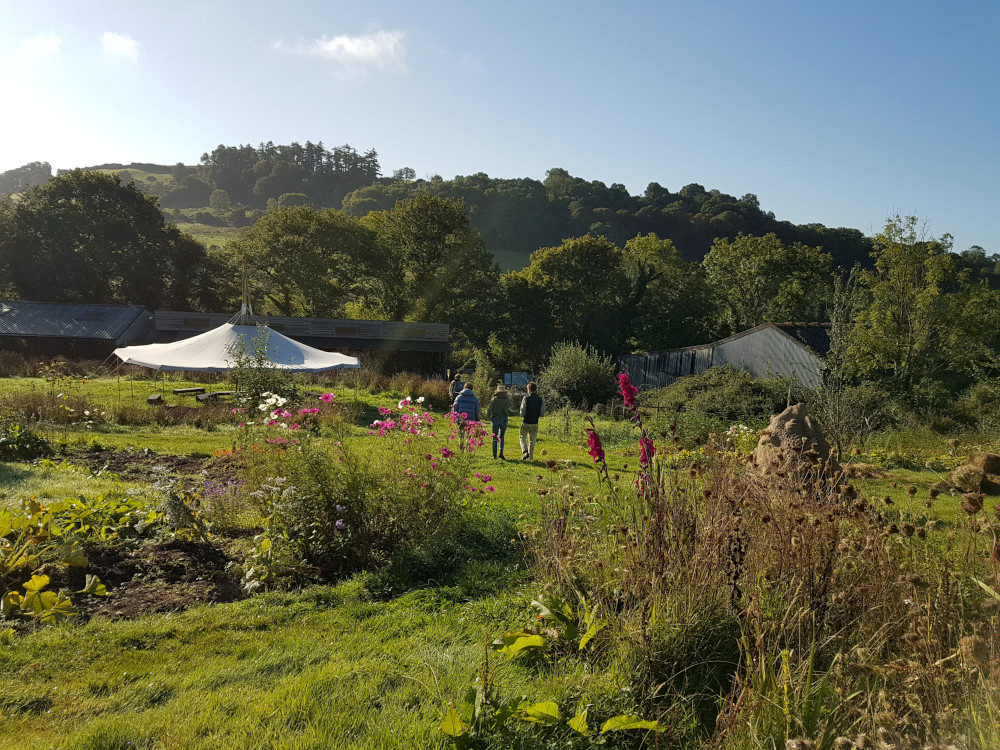 Pre-visit Information